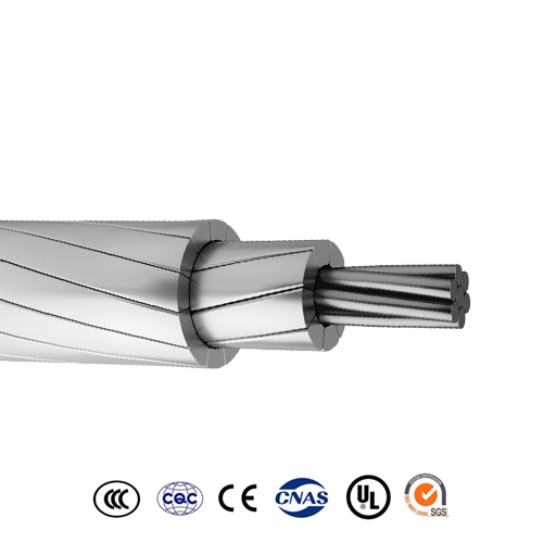 ACSS ACSS/AW ACSS/TW Conductor