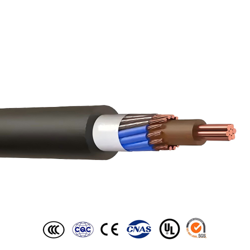 Concentric and Split Concentric Cables-BS
