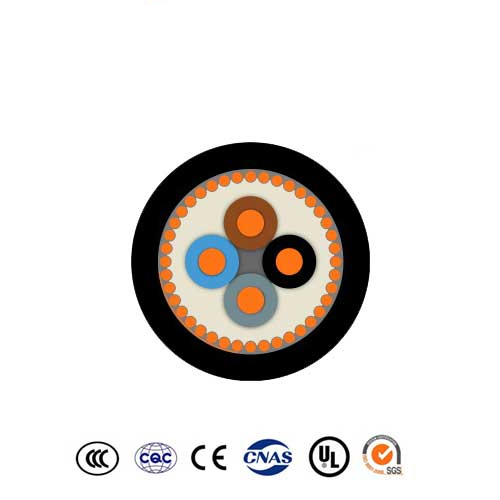 E-YCY Cable - Image 3