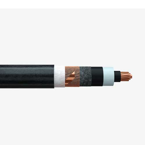 N2XS2Y Cable